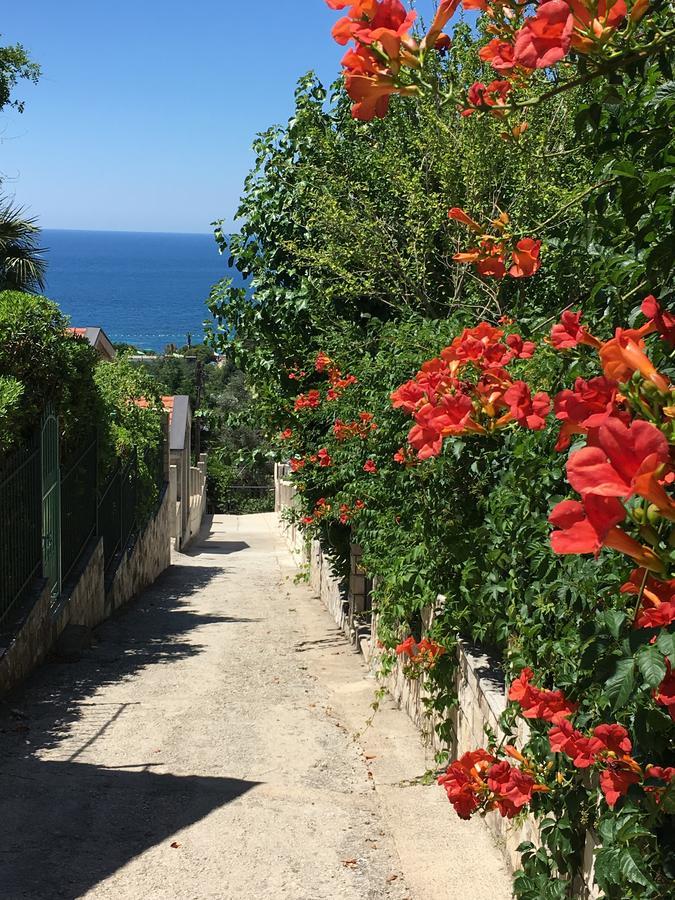Villa Julia Petrovac Exterior foto